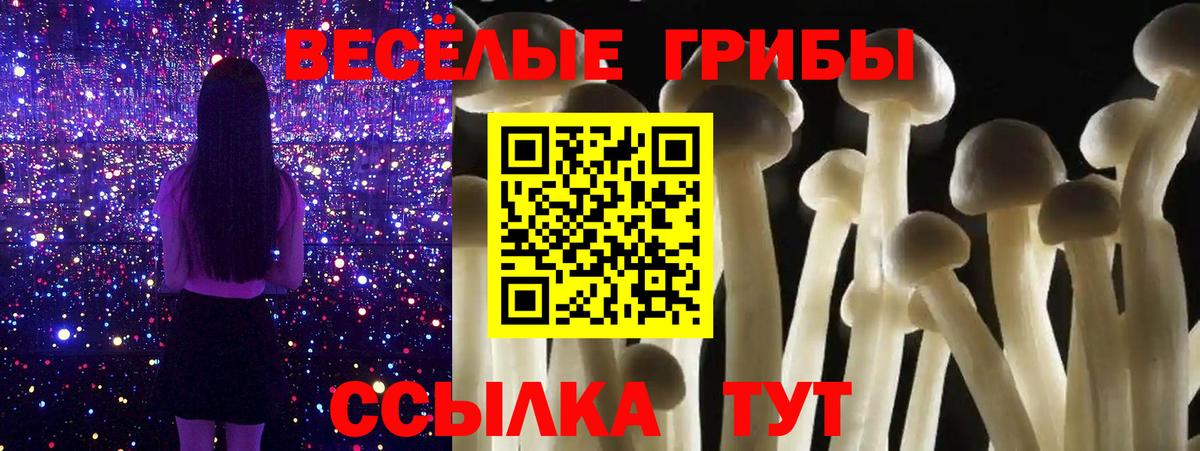 Галлюциногенные грибы Psilocybe  Псилоцибиновые грибы мухоморы  Вход с VPN  Старая Купавна 