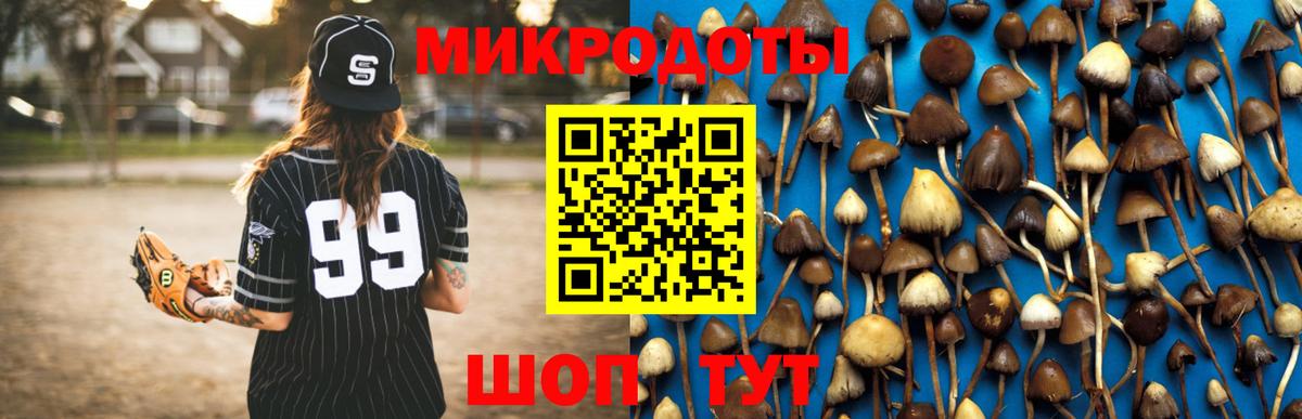 Галлюциногенные грибы мицелий Старая Купавна